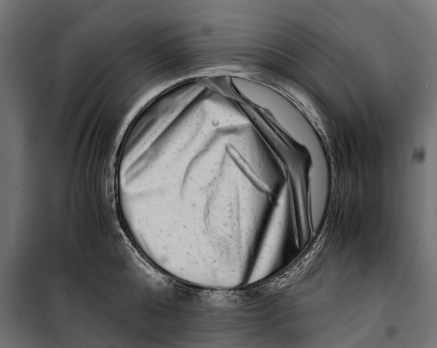 X0000099990808200806201448