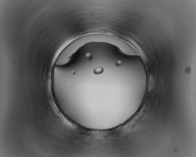 X0000099990812200806201448