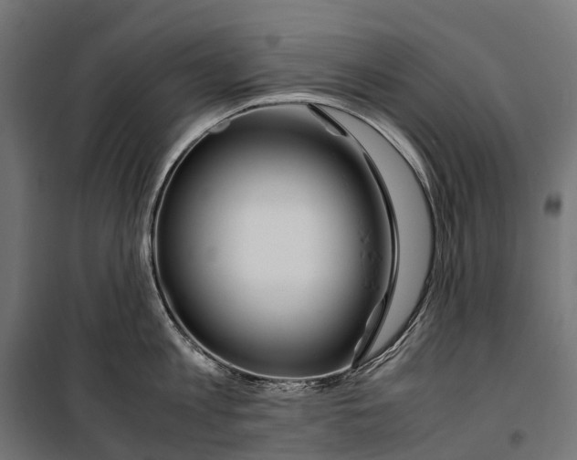 X0000099990813200806201448