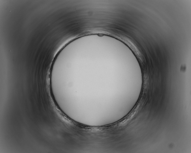 X0000099990814200806201448