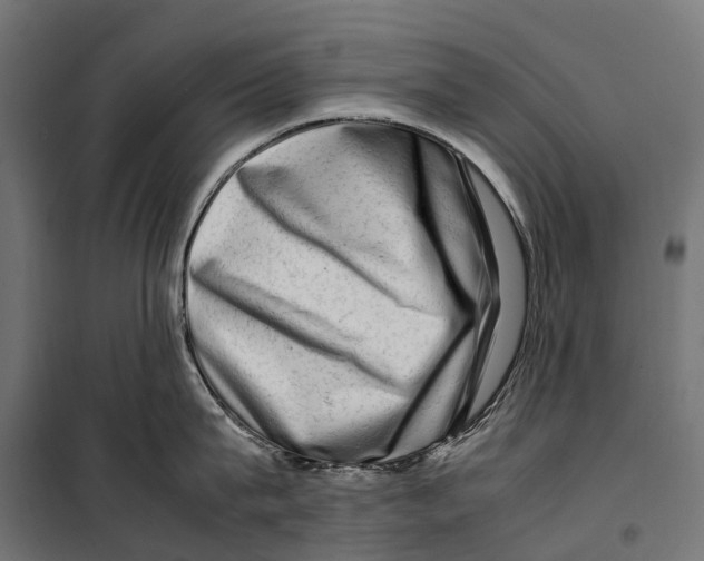 X0000099990815200806201447