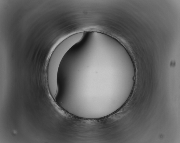 X0000099990816200806201447