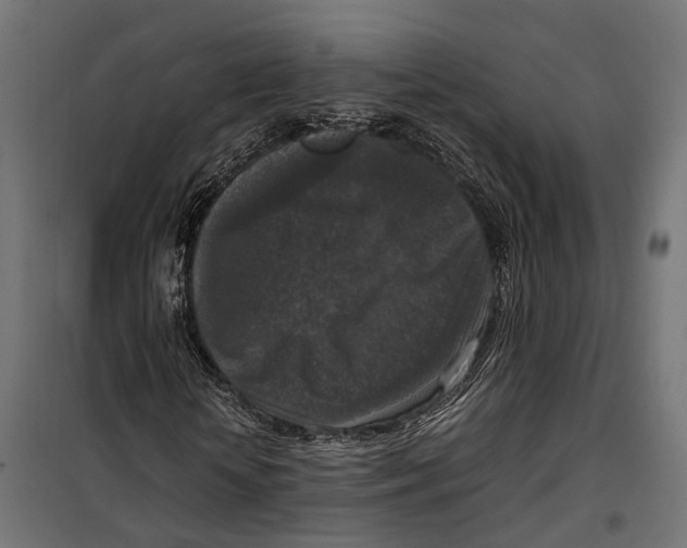 X0000099990818200806201447