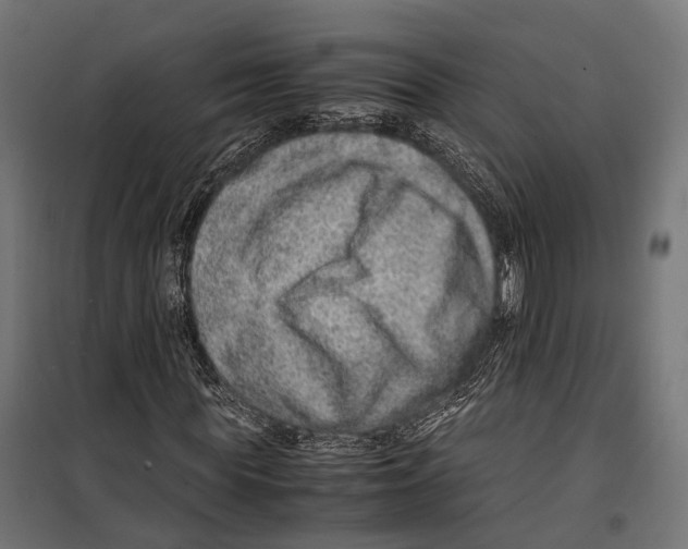 X0000099990819200806201447