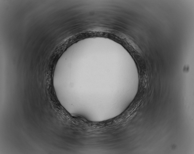 X0000099990821200806201447