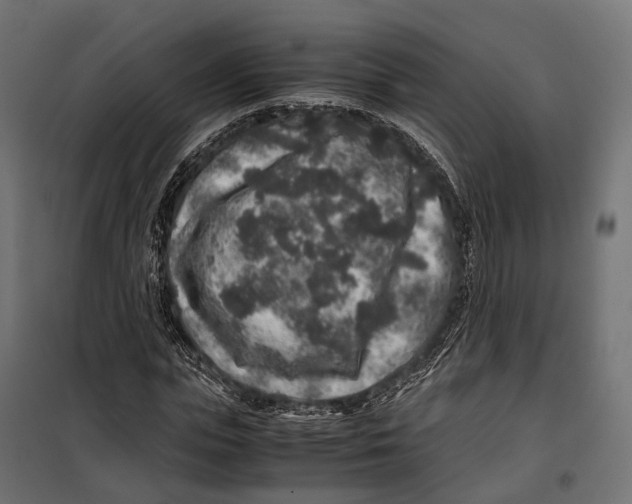 X0000099990823200806201447