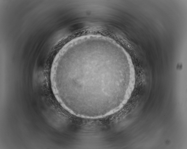 X0000099990824200806201447