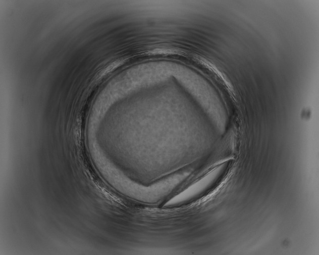 X0000099990825200806201447