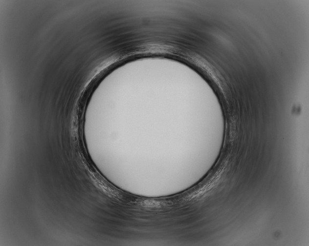 X0000099990827200806201447