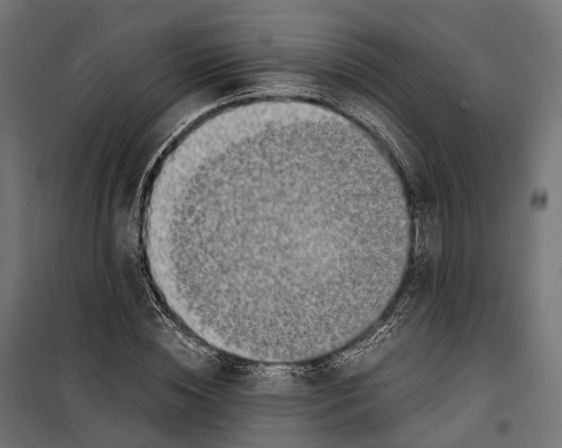 X0000099990828200806201447