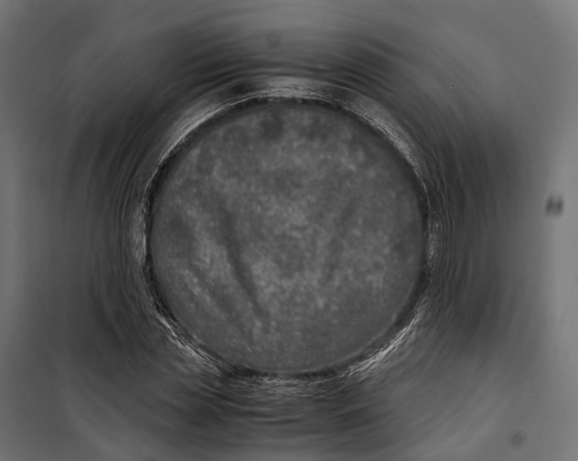 X0000099990829200806201447