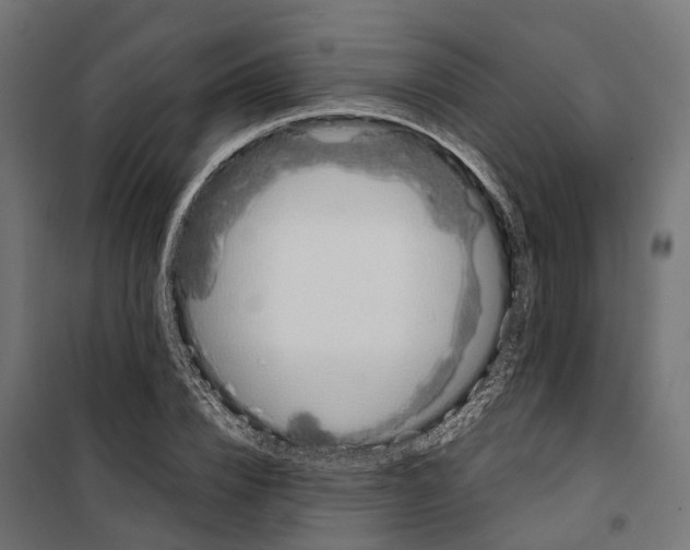 X0000099990832200806201447