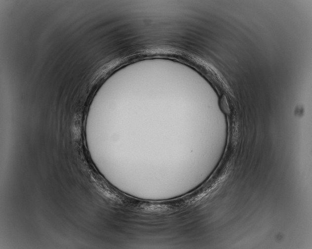 X0000099990833200806201447