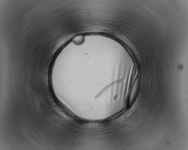 X0000099990834200806201447