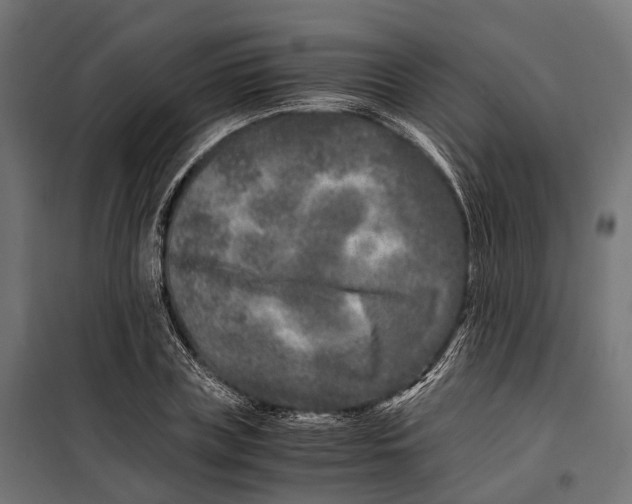 X0000099990835200806201447