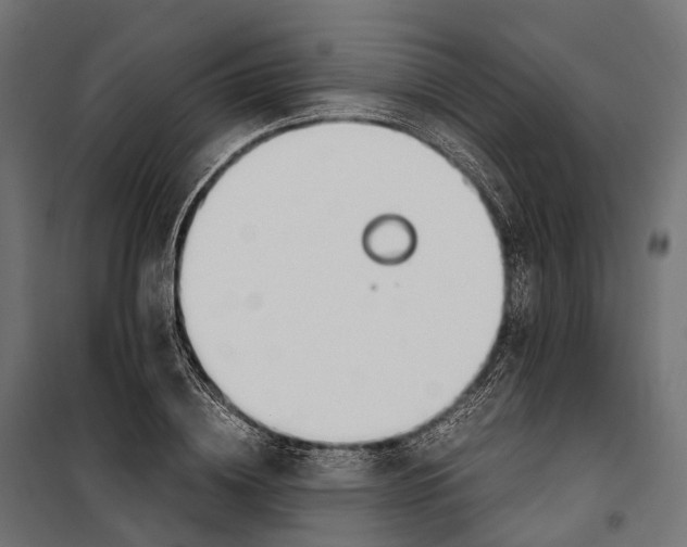 X0000099990836200806201447