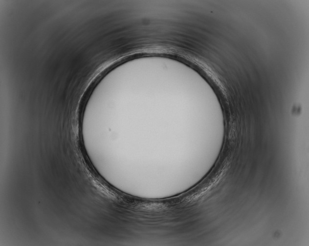 X0000099990837200806201447