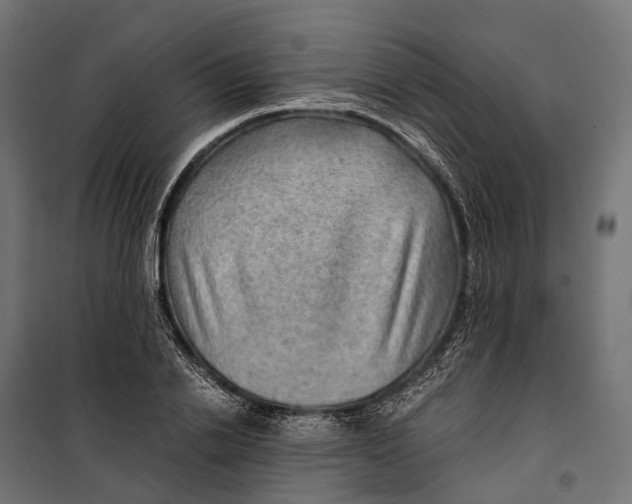 X0000099990838200806201447