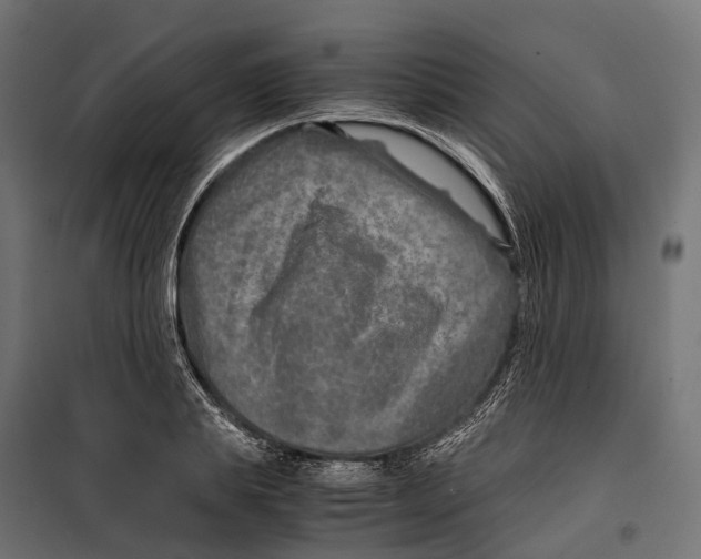 X0000099990839200806201447