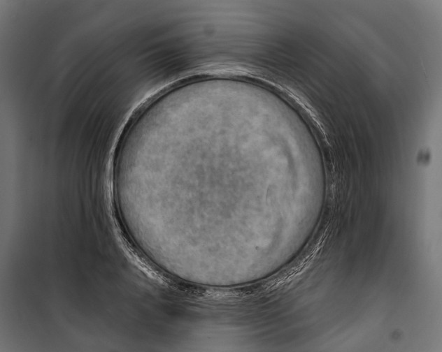 X0000099990840200806201447