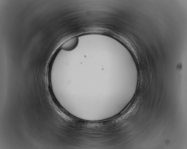 X0000099990843200806201447