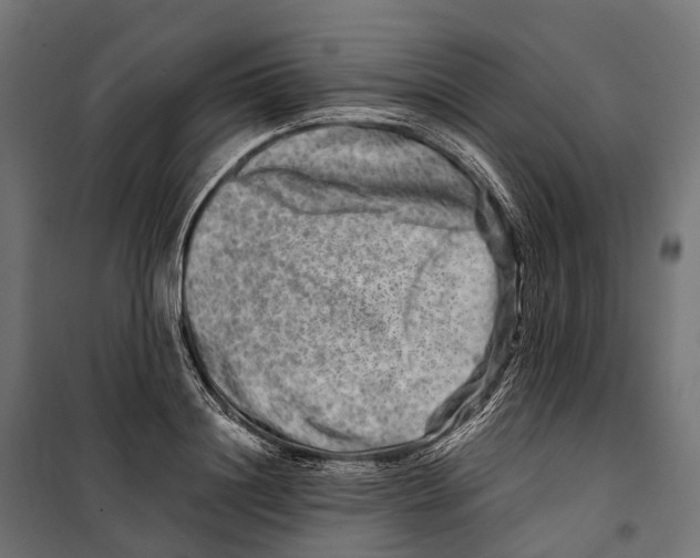 X0000099990844200806201447