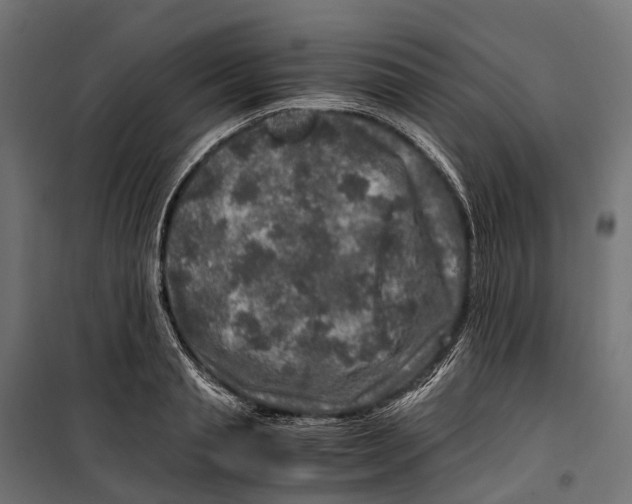 X0000099990845200806201447