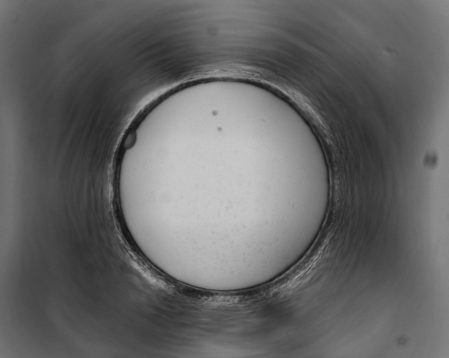 X0000099990846200806201447