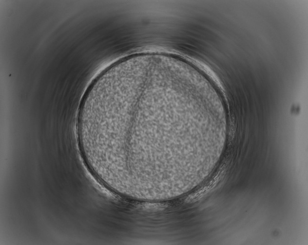 X0000099990847200806201447