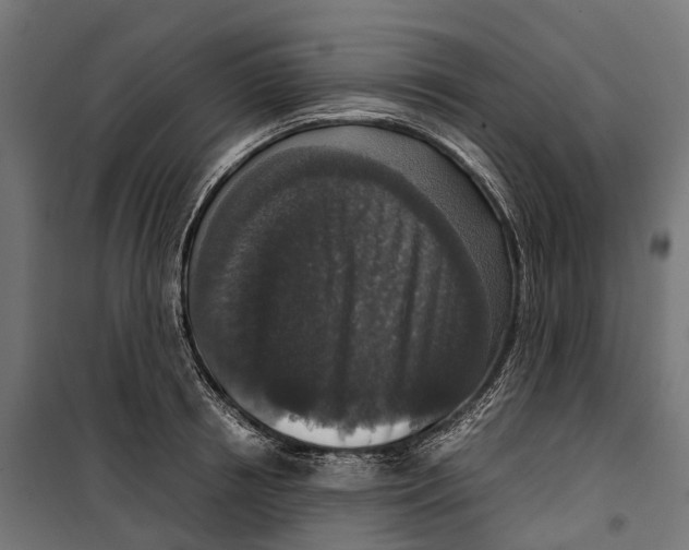 X0000099990850200806201447