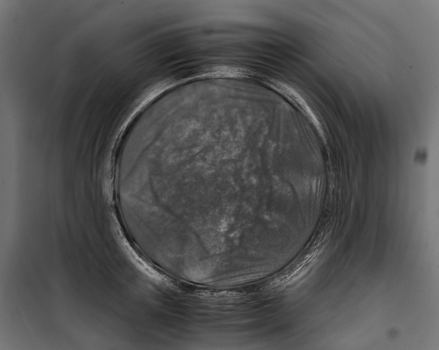 X0000099990851200806201447