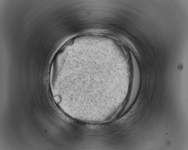 X0000099990852200806201447