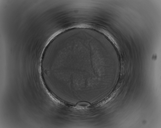 X0000099990853200806201447