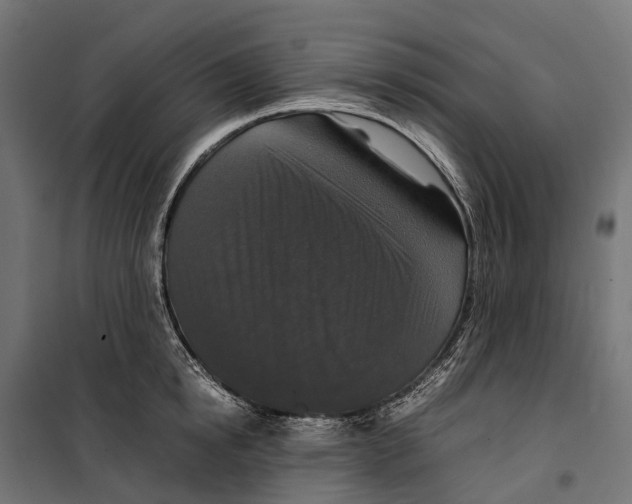 X0000099990854200806201447