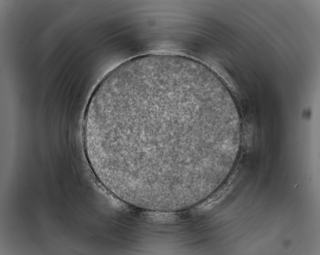 X0000099990856200806201447