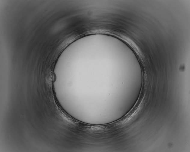 X0000099990857200806201447