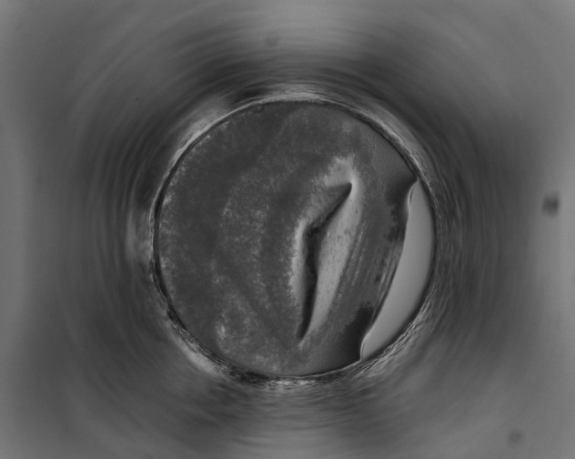 X0000099990858200806201447