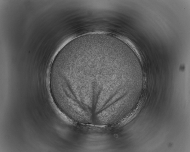 X0000099990859200806201447