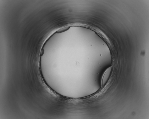 X0000099990860200806201447