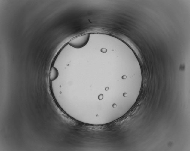 X0000099990861200806201447