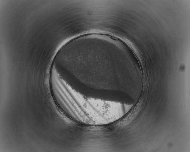 X0000099990862200806201447