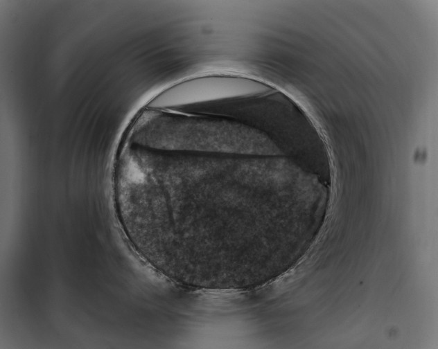 X0000099990864200806201447