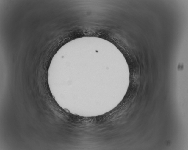 X0000099990865200806201447