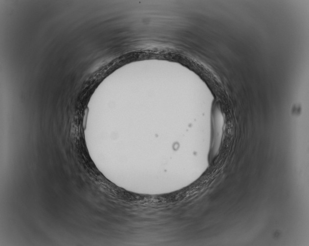 X0000099990869200806201447