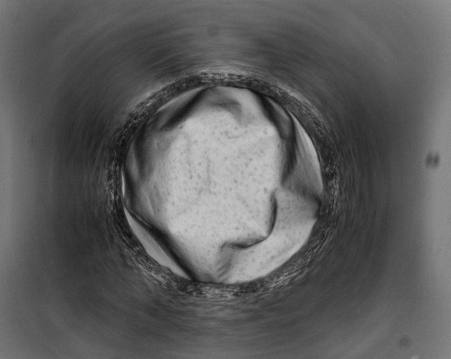 X0000099990870200806201447