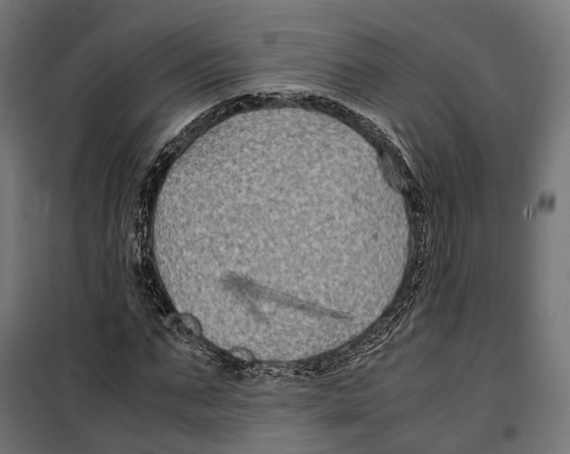 X0000099990871200806201447