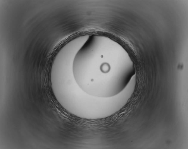 X0000099990872200806201447