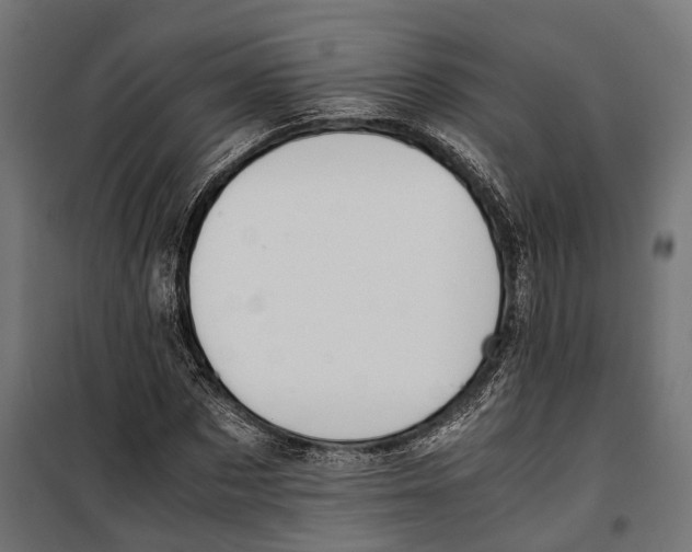 X0000099990873200806201447