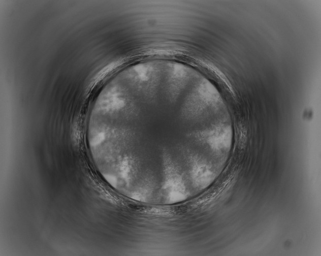 X0000099990874200806201447