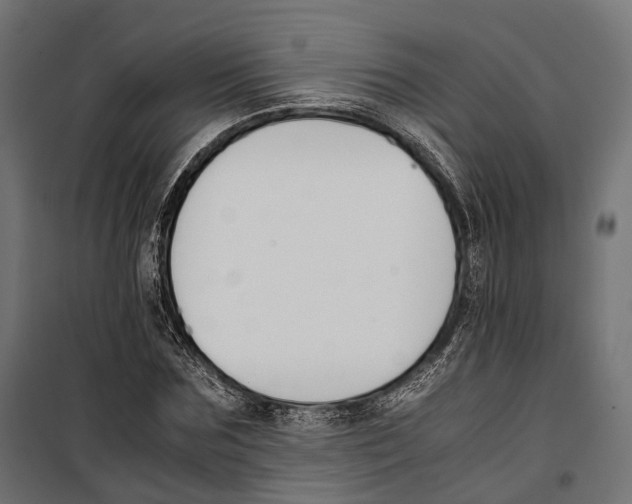 X0000099990875200806201447